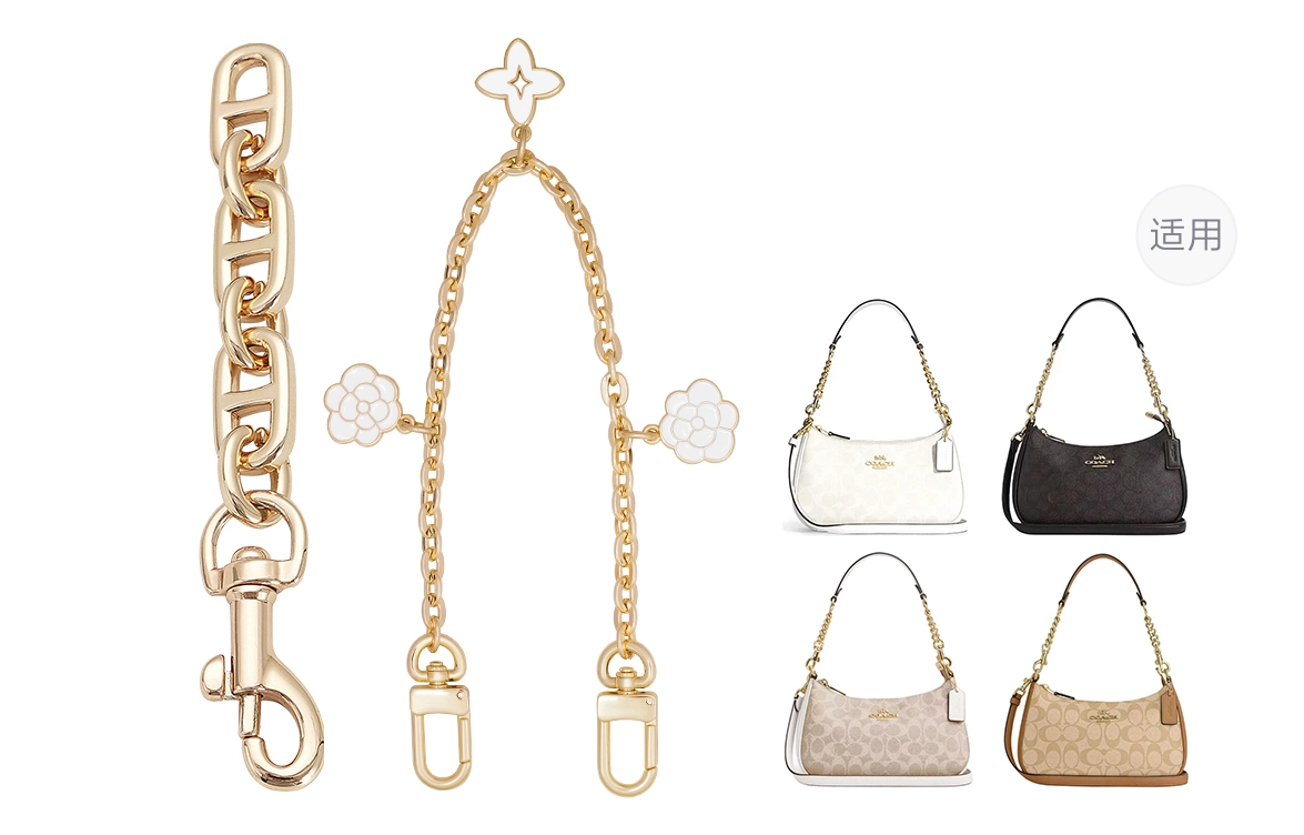 COACH Teri 2425 diy