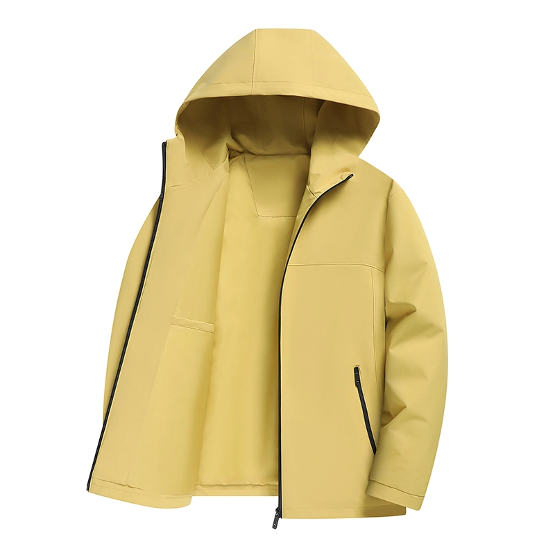 PIERRE CARDIN 2025