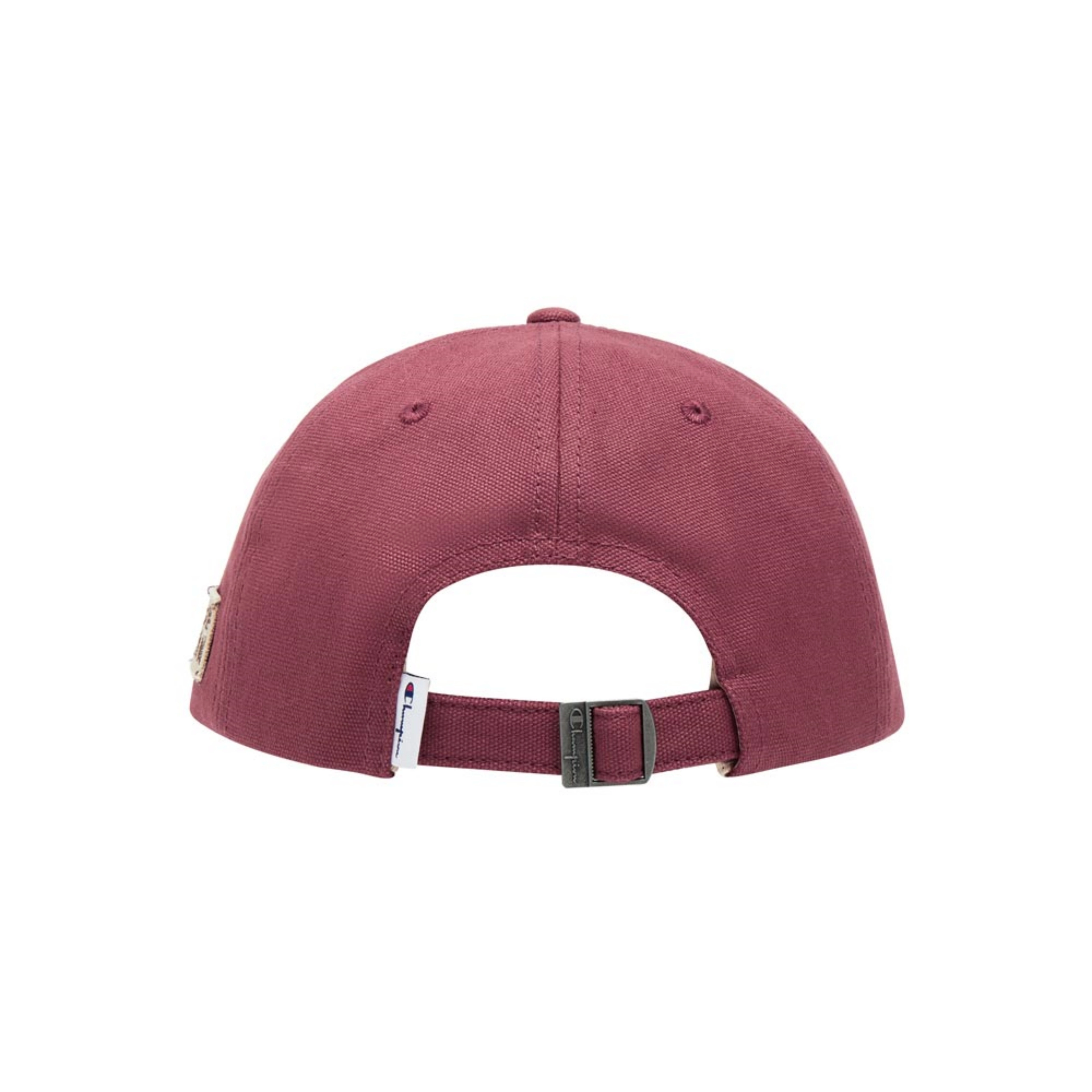 Champion Script Washed Ball Cap Health FW25