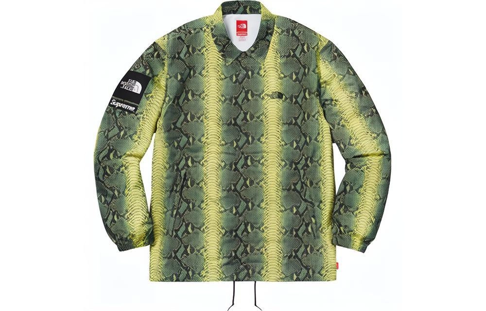 Supreme x THE NORTH FACE SS18TNF