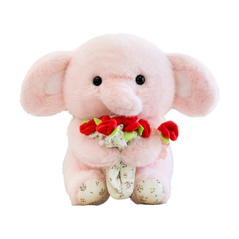 Brangdy 30cm40cm
