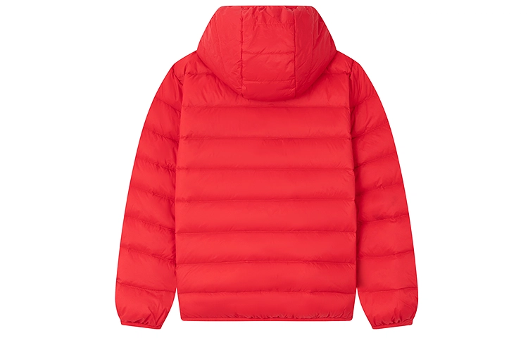 Champion Kids FW25