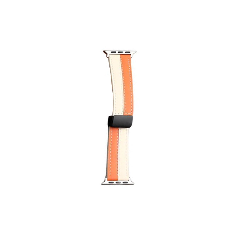 TooGowa Apple Watch