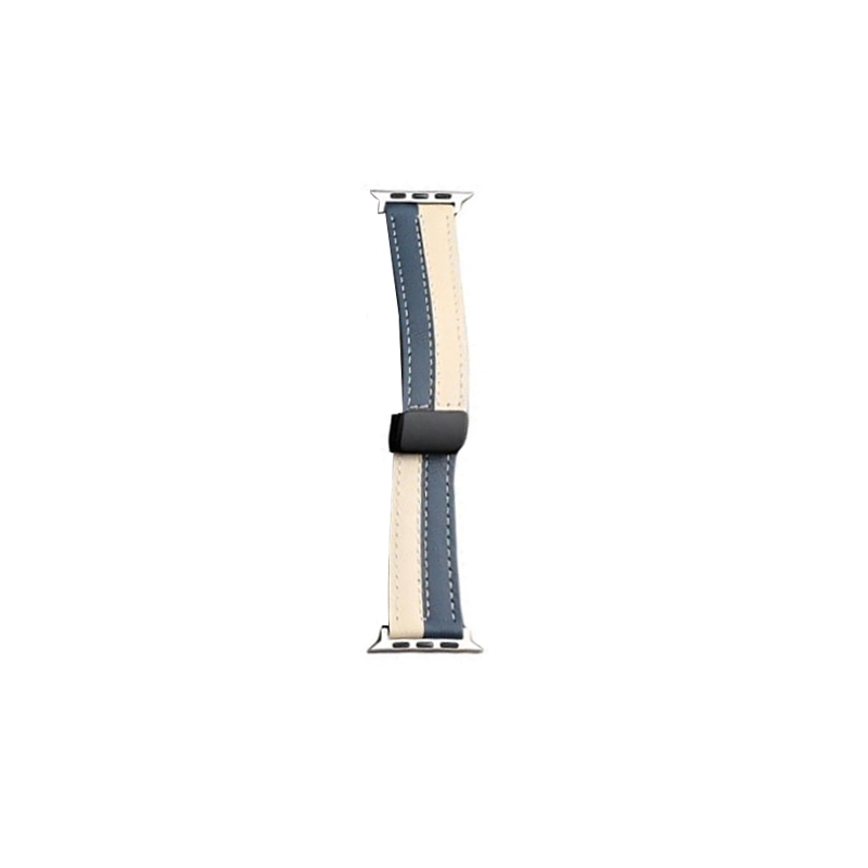 TooGowa Apple Watch