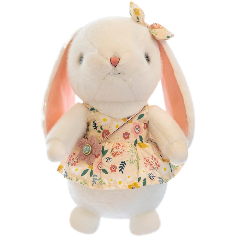 CANEXT 23cm30cm