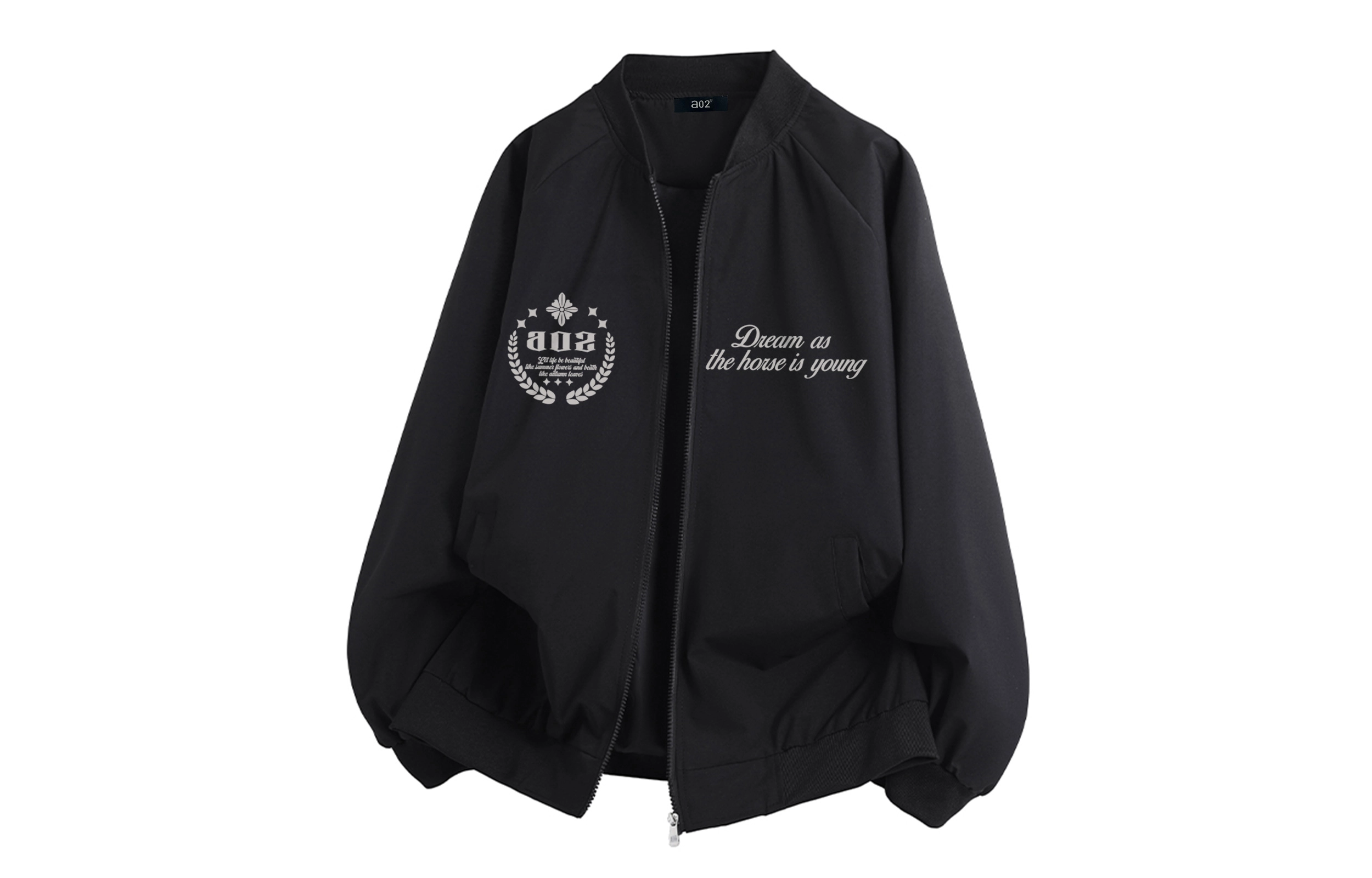 a02 LOGOins