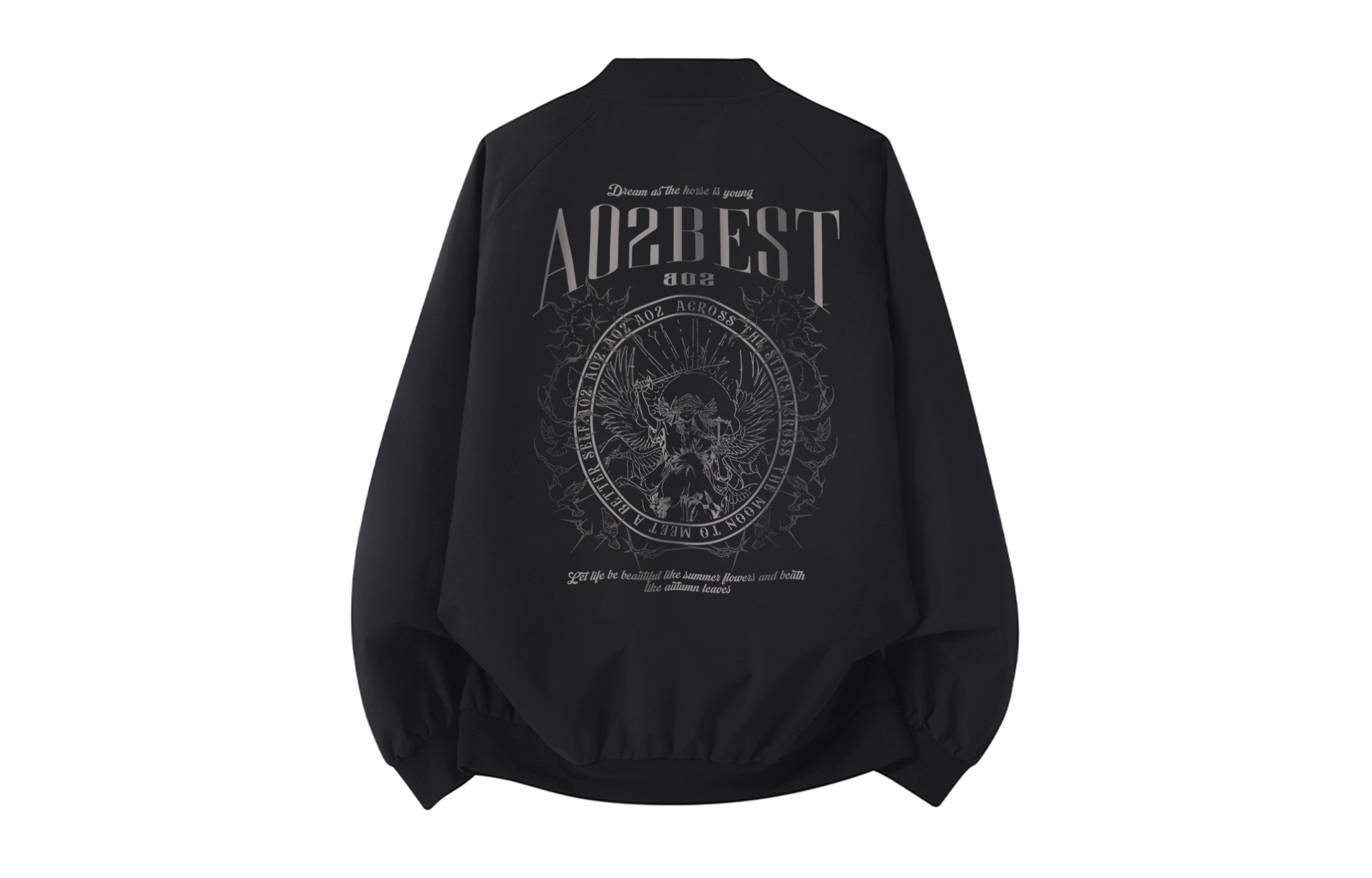 a02 LOGOins