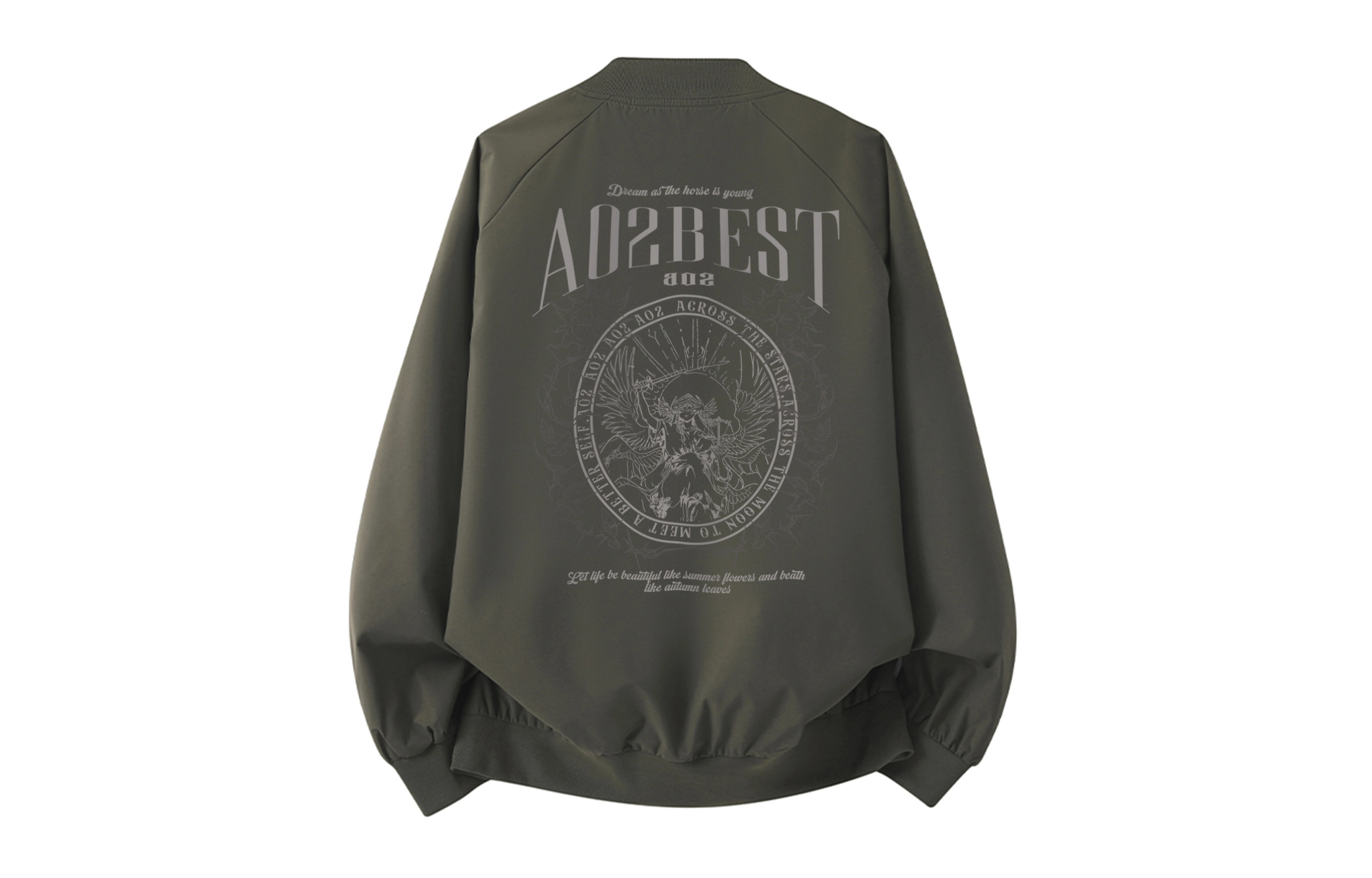a02 LOGOins