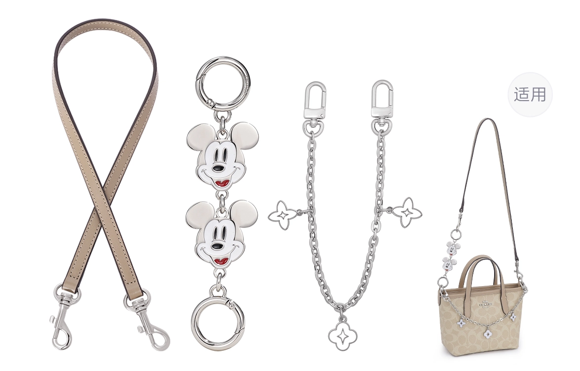 Disney COACH city15 diy