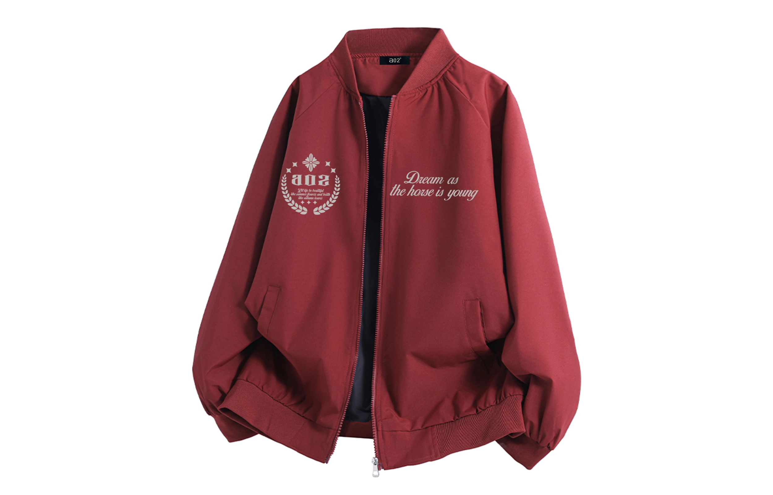 a02 LOGOins