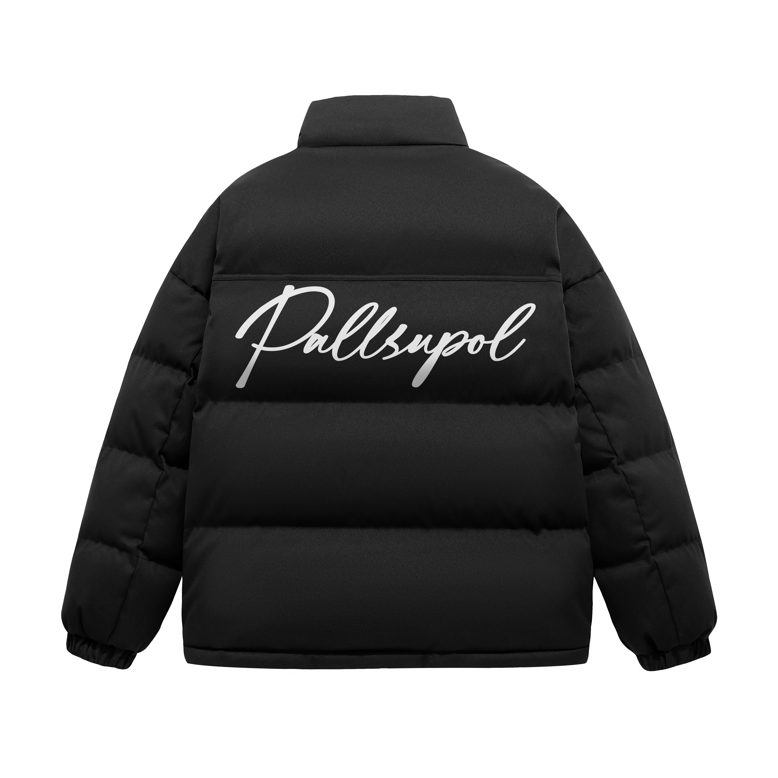 pallsupol logo