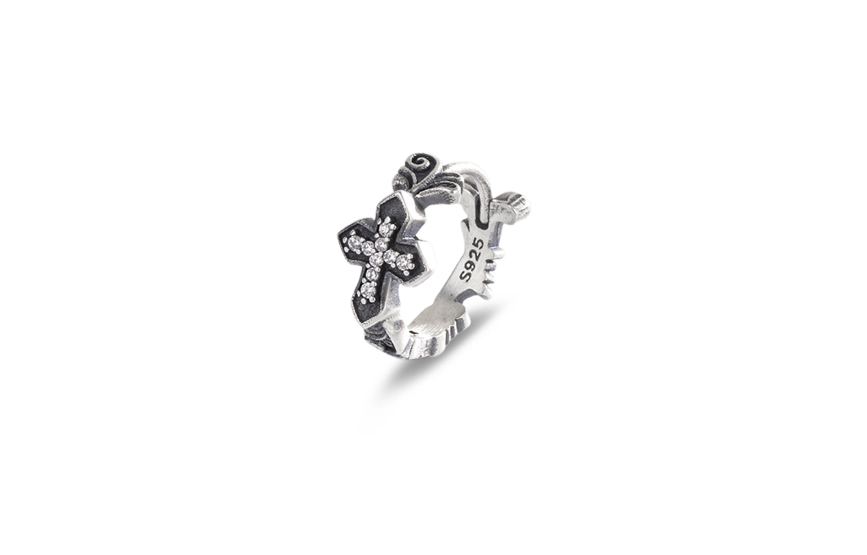 ROGA ins 925