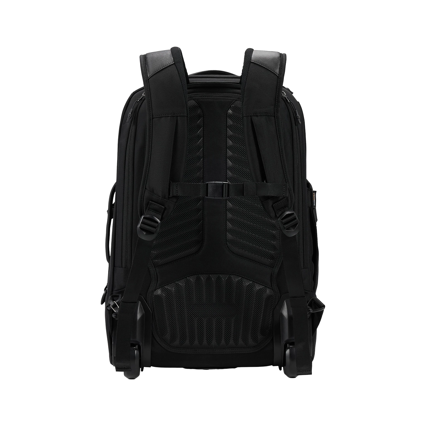 TAJEZZO25L