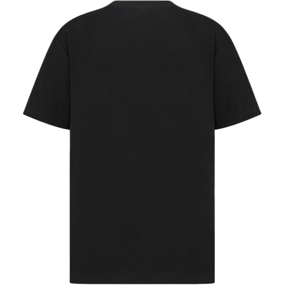 DIOR FW25 T