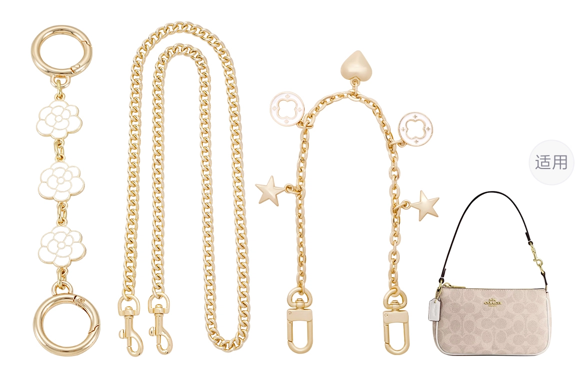 COACH Nolita 19