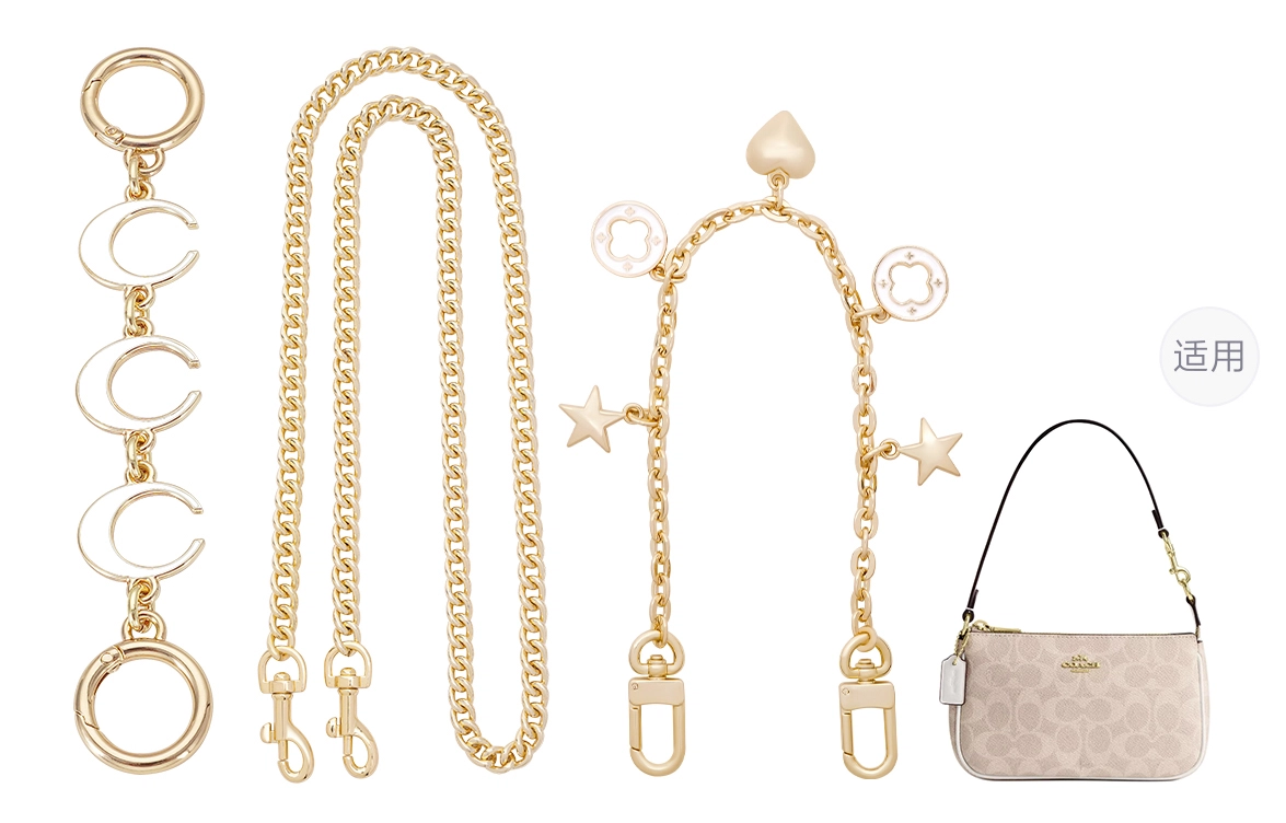 COACH Nolita 19