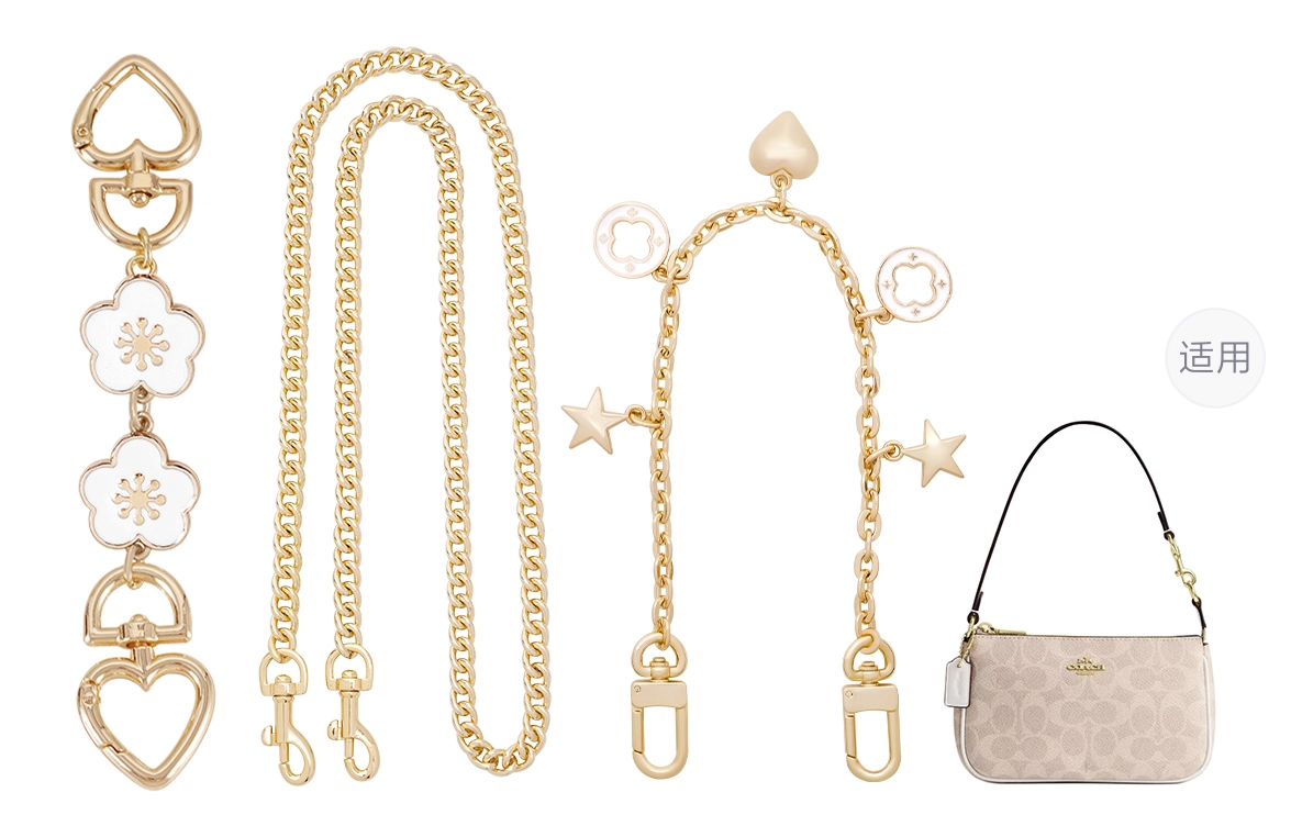 COACH Nolita 19