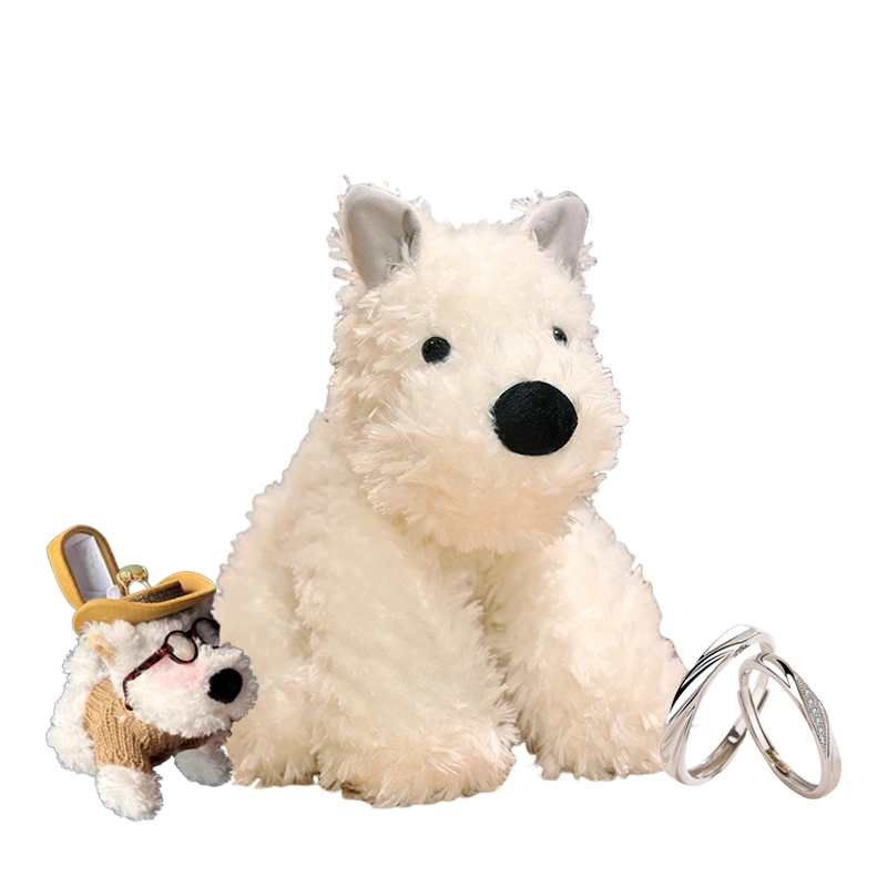 CANEXT 22cm30cm40cm
