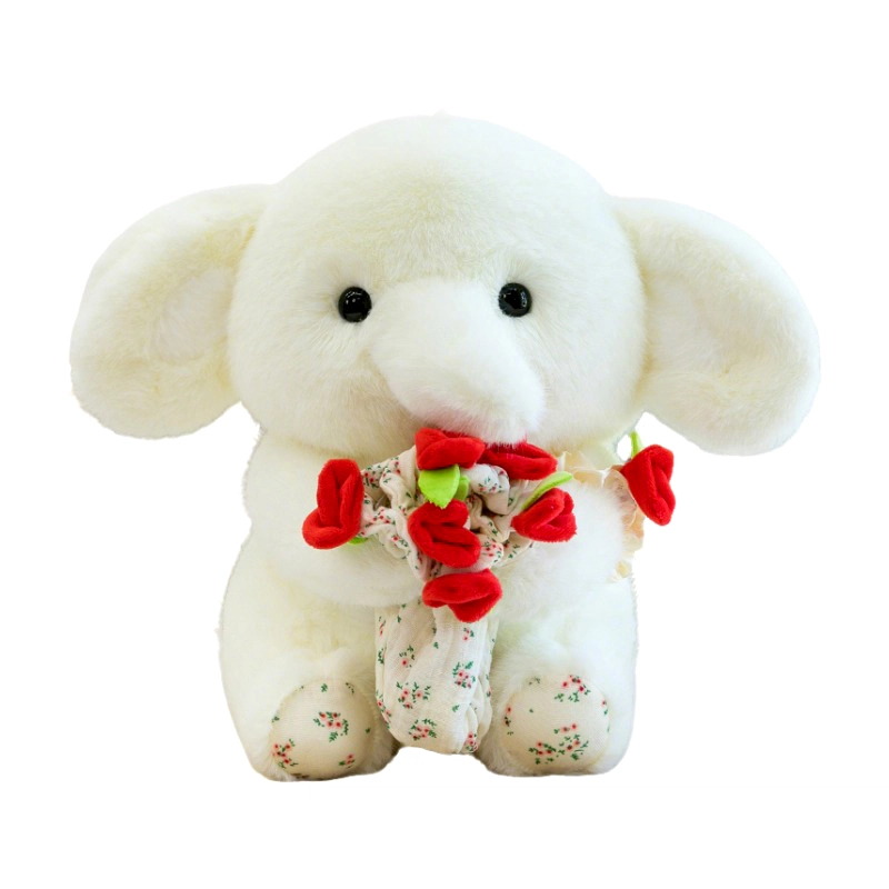 Brangdy 30cm40cm