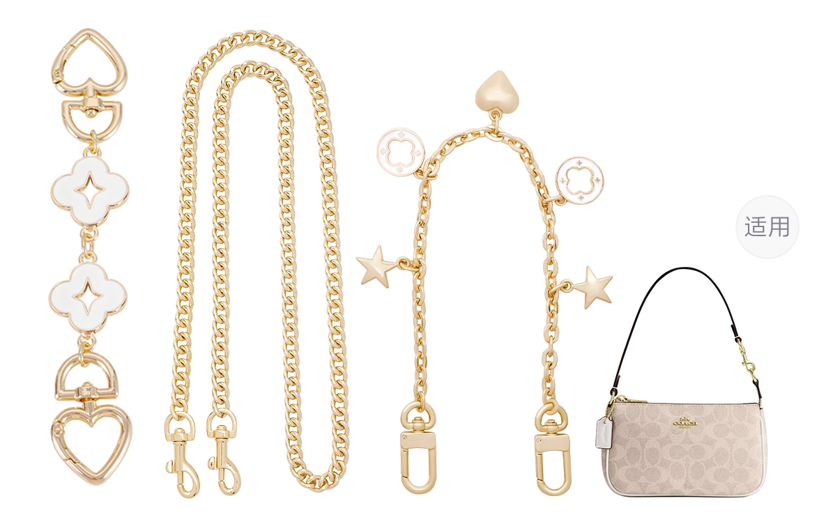 COACH Nolita 19
