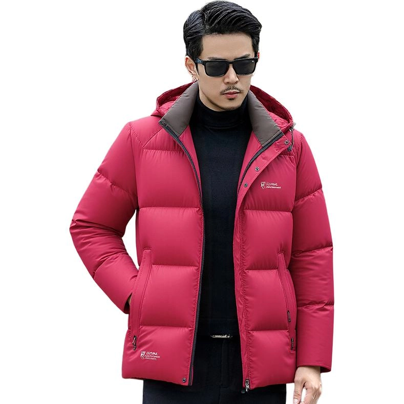 PIERRE CARDIN 2025