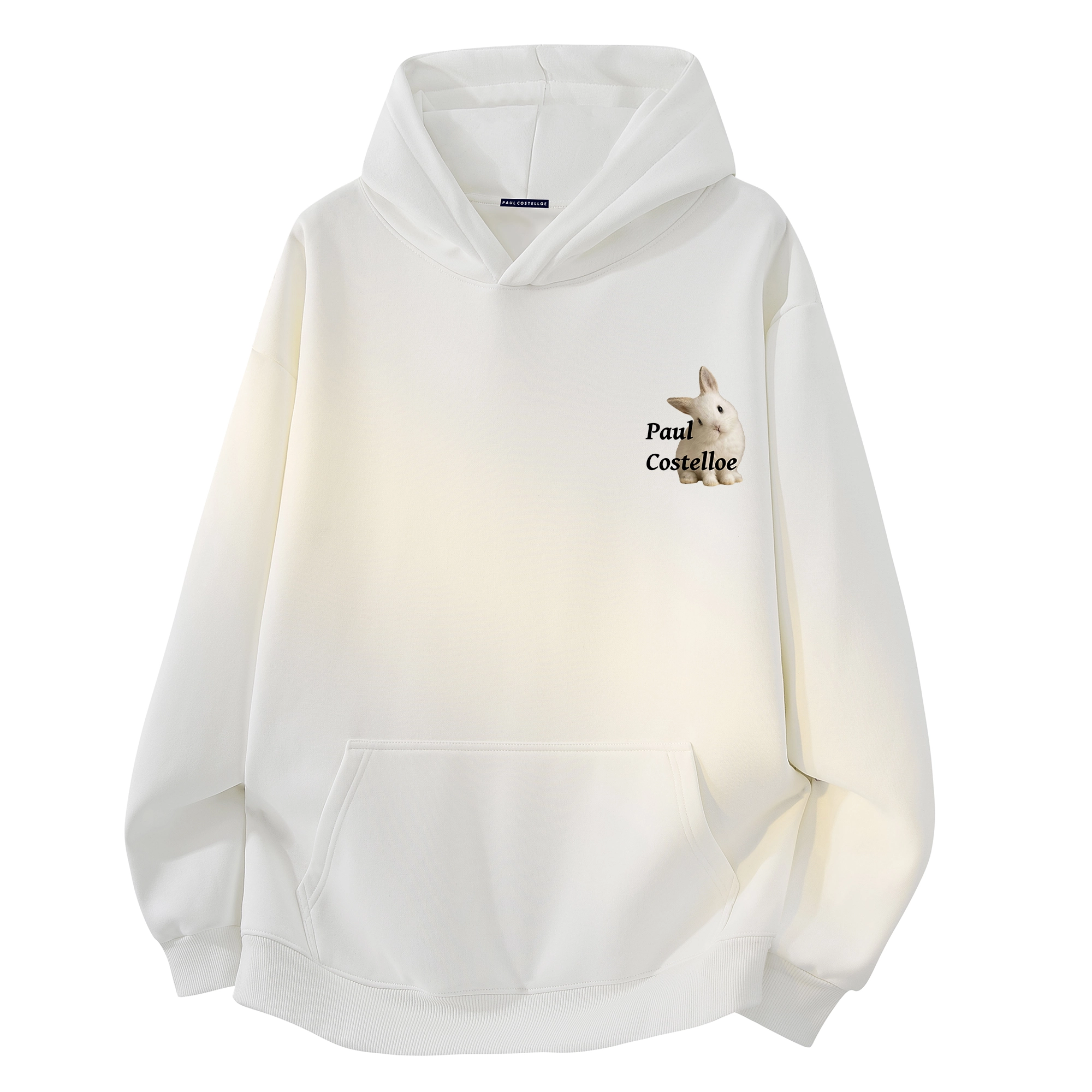 PAUL COSTELLOE Paullogo