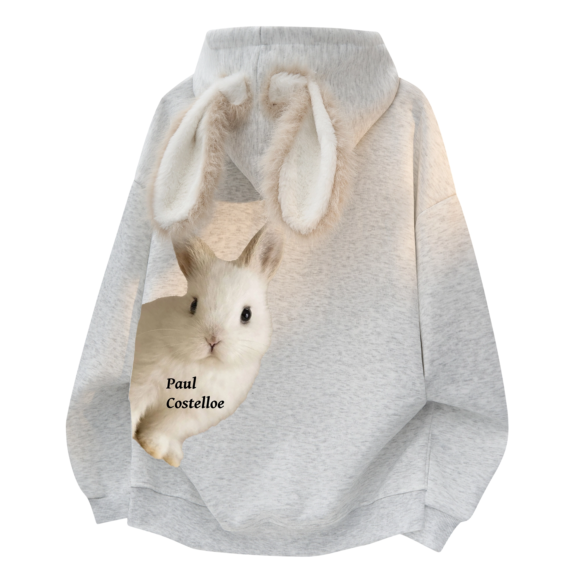 PAUL COSTELLOE Paullogo