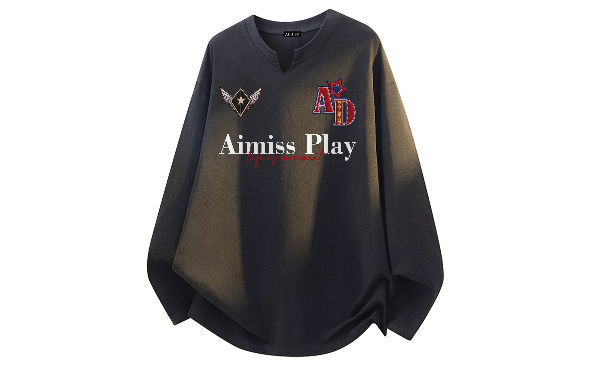 AIMISS logoT