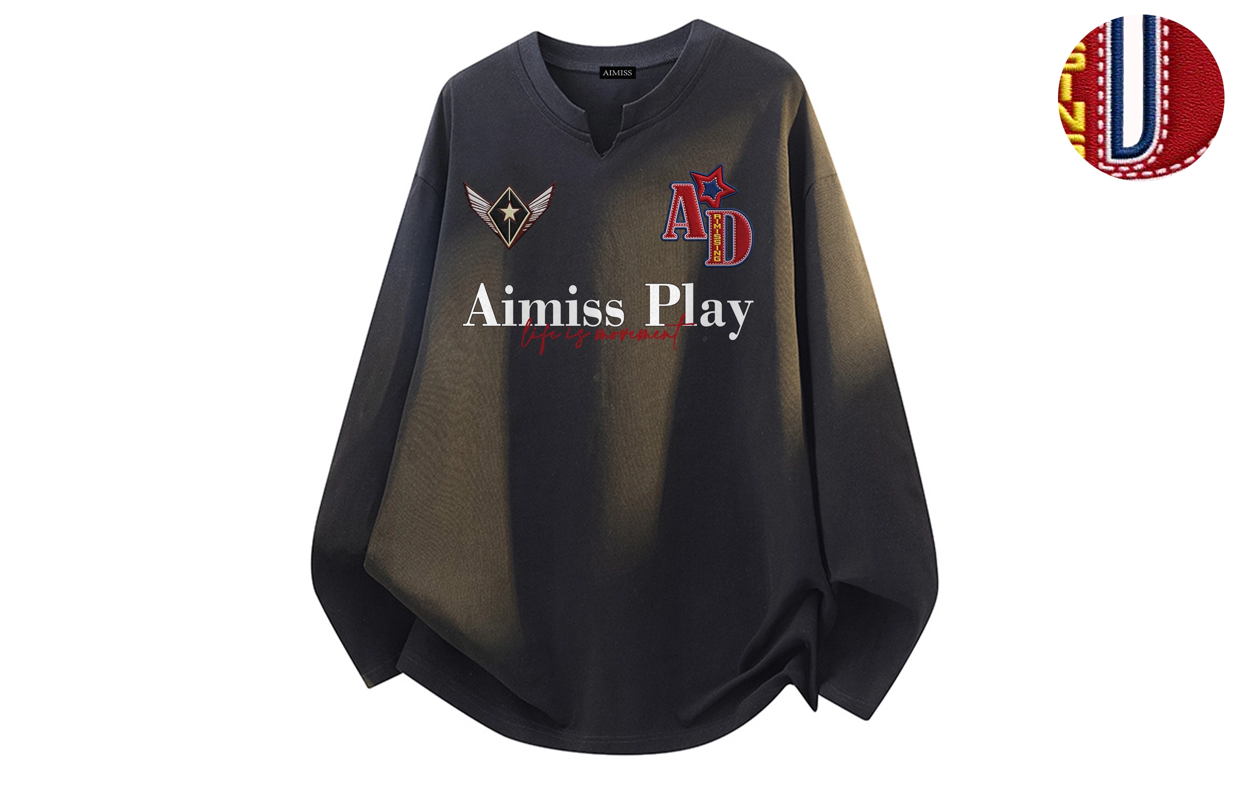 AIMISS logoT