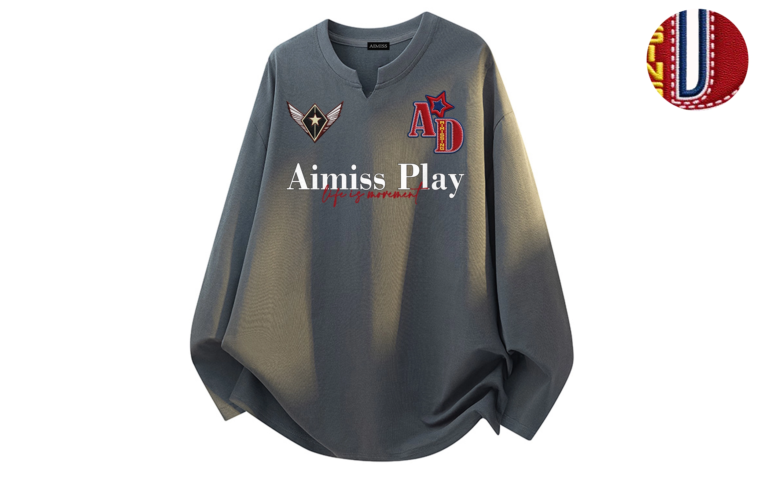 AIMISS logoT