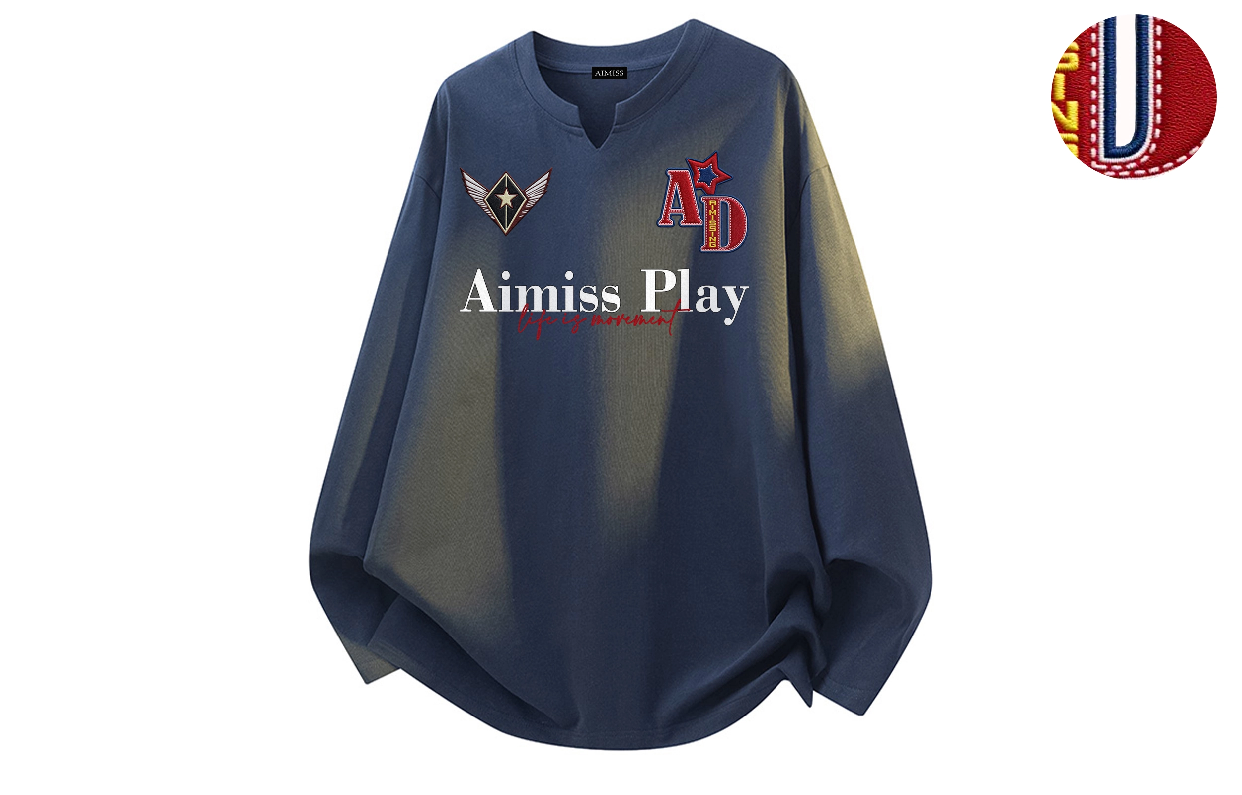 AIMISS logoT