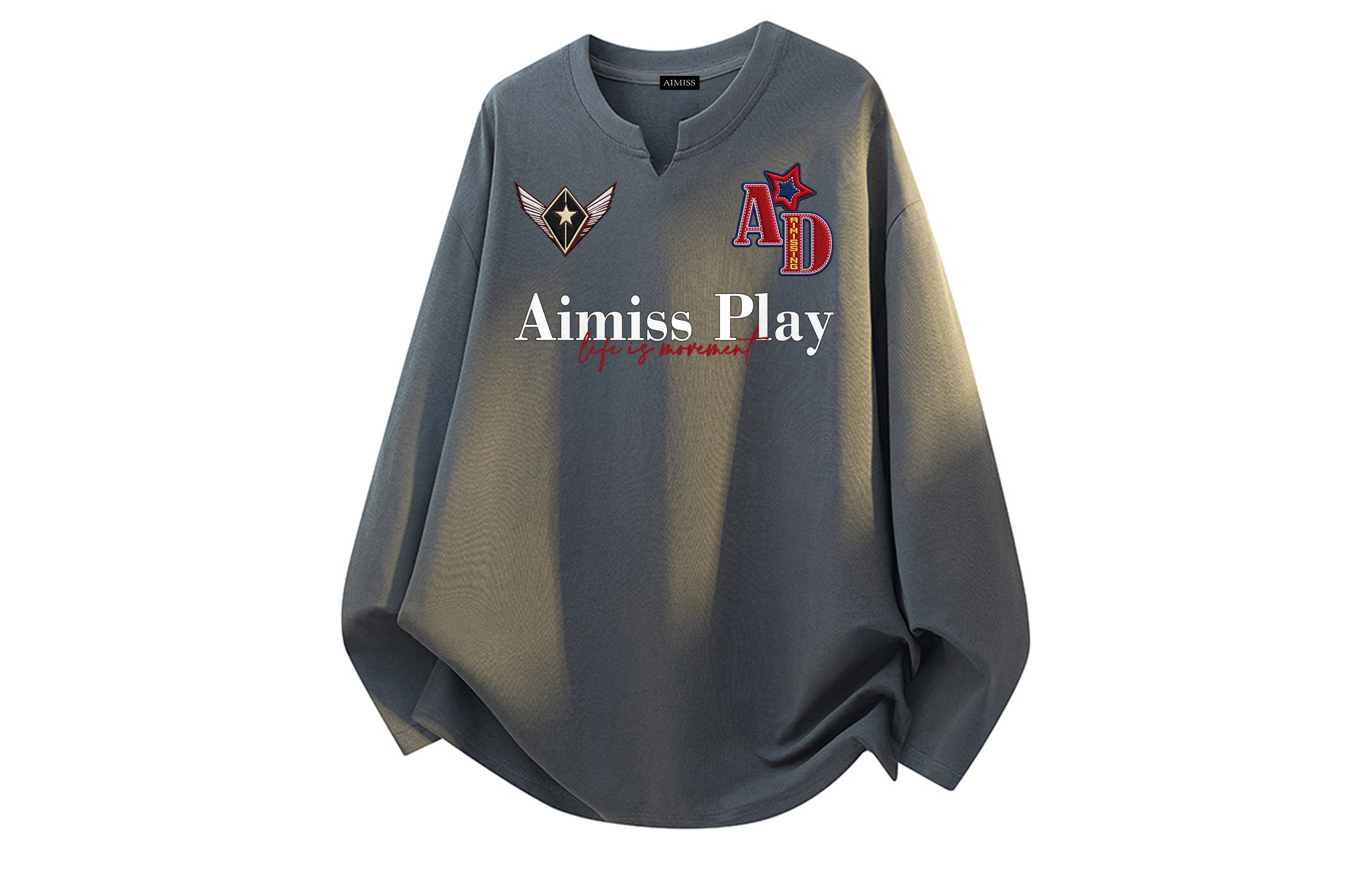 AIMISS logoT