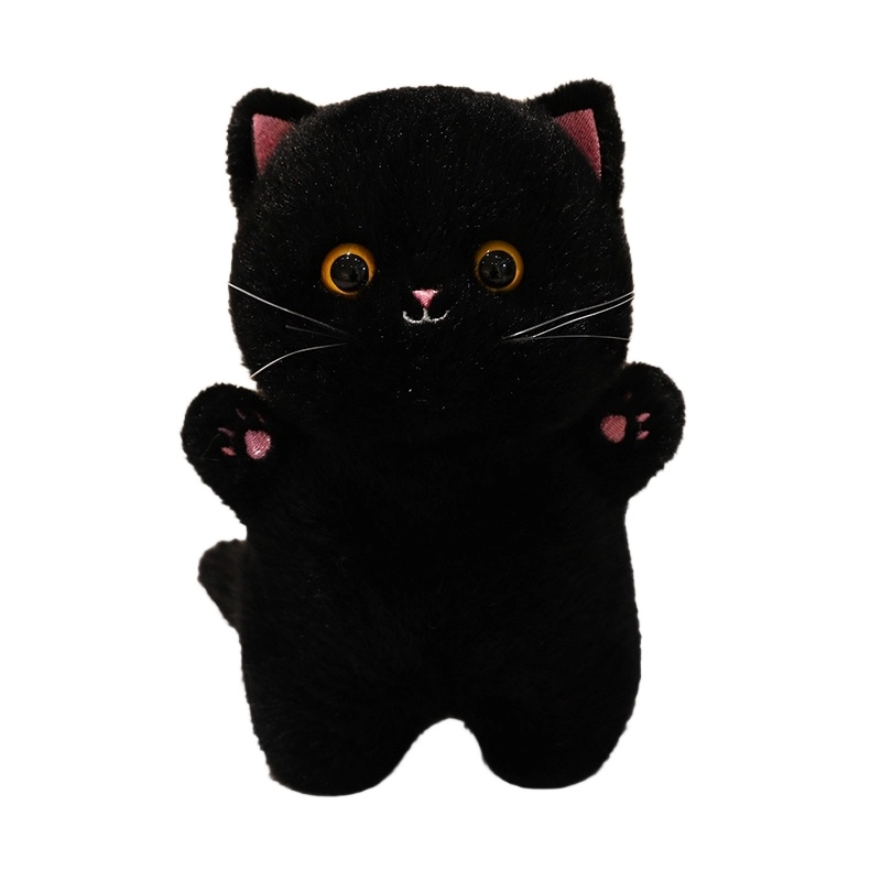 JBBCN 20cm