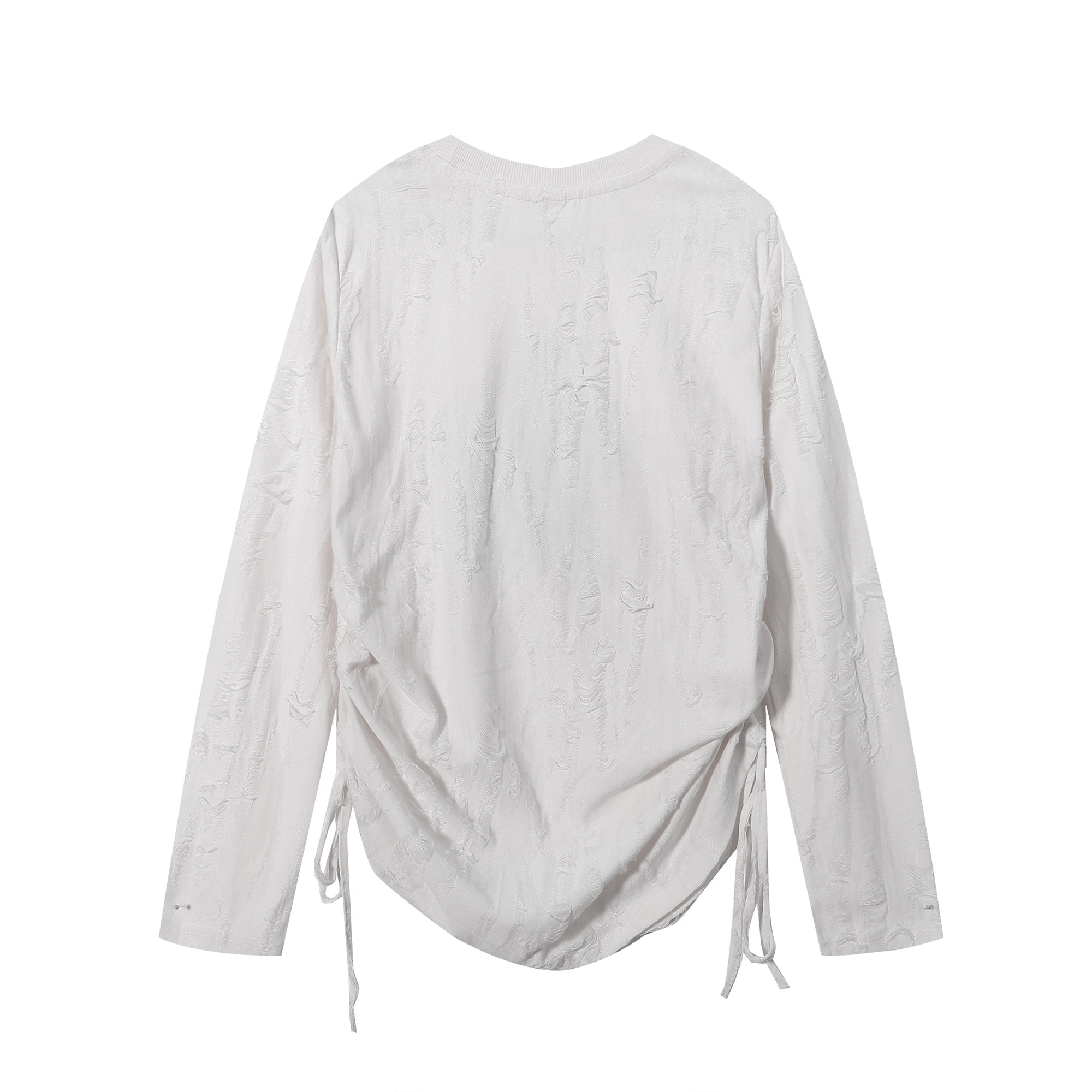 Ant Studio 2025t T