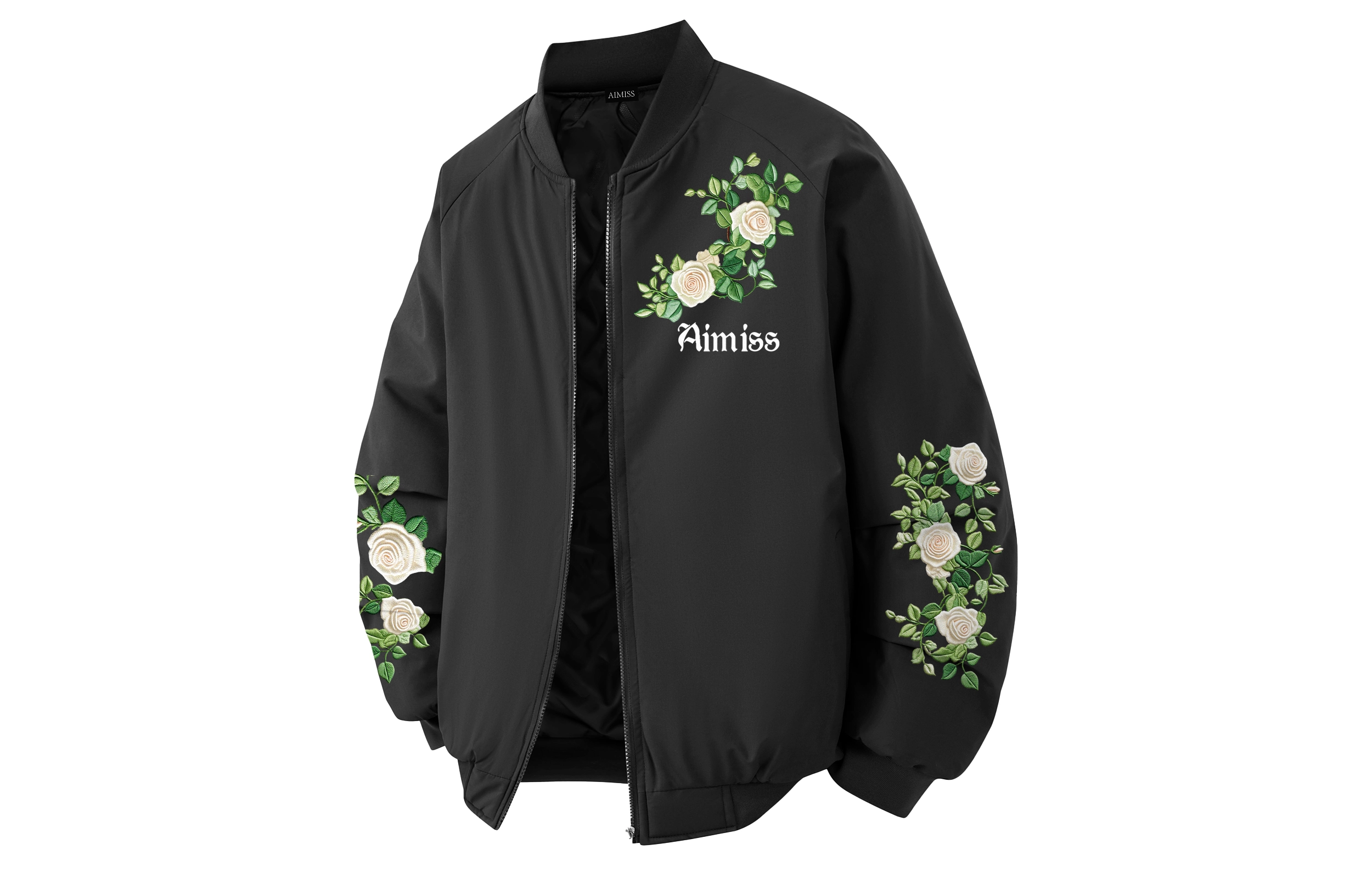 AIMISS logo