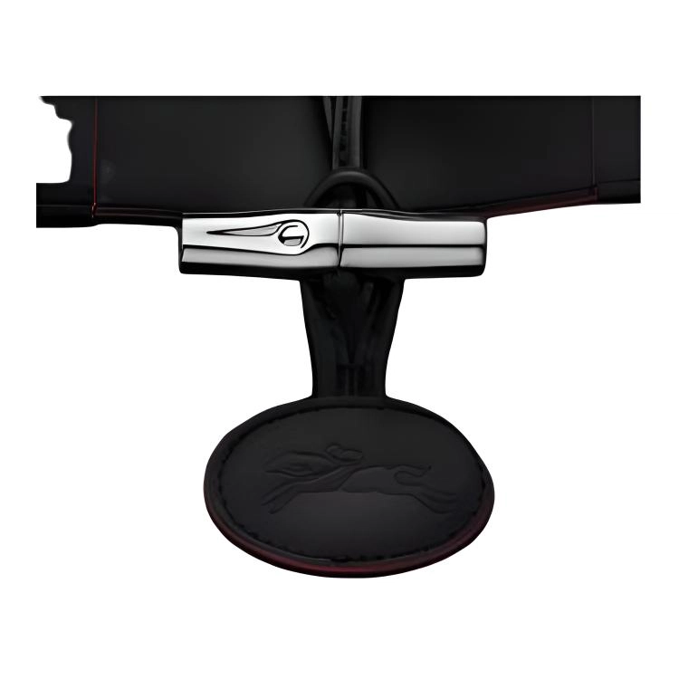 LONGCHAMP Le Roseau