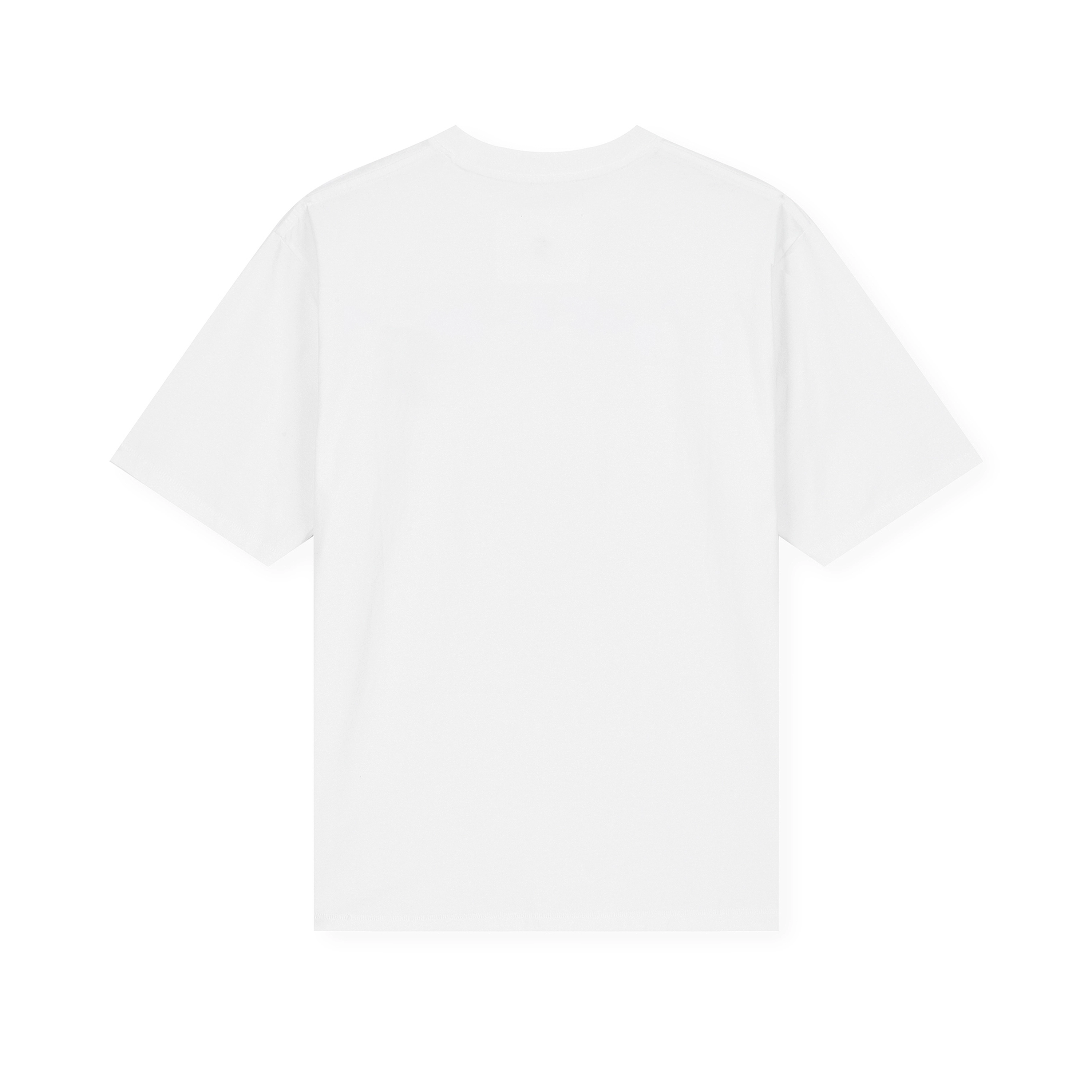 WRSTBHVR PIONEER T