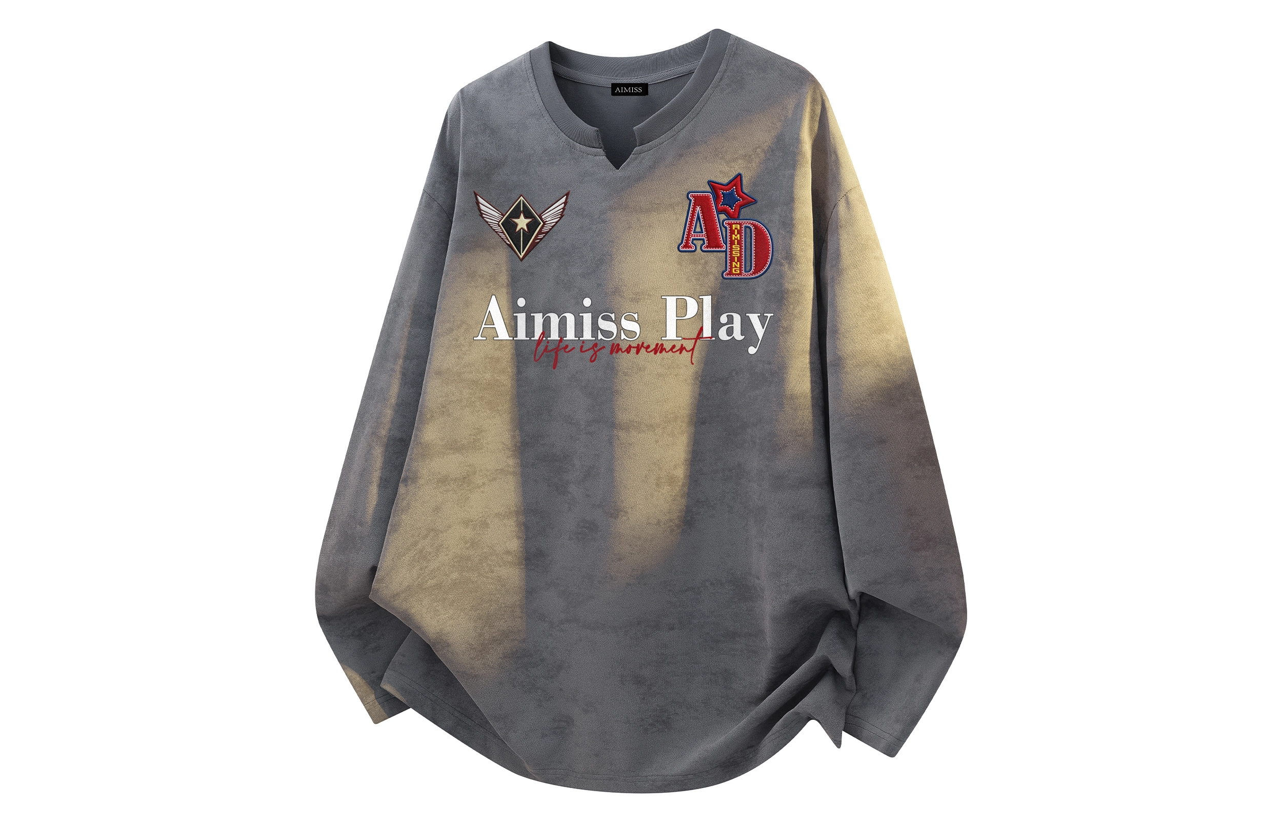 AIMISS LogoT