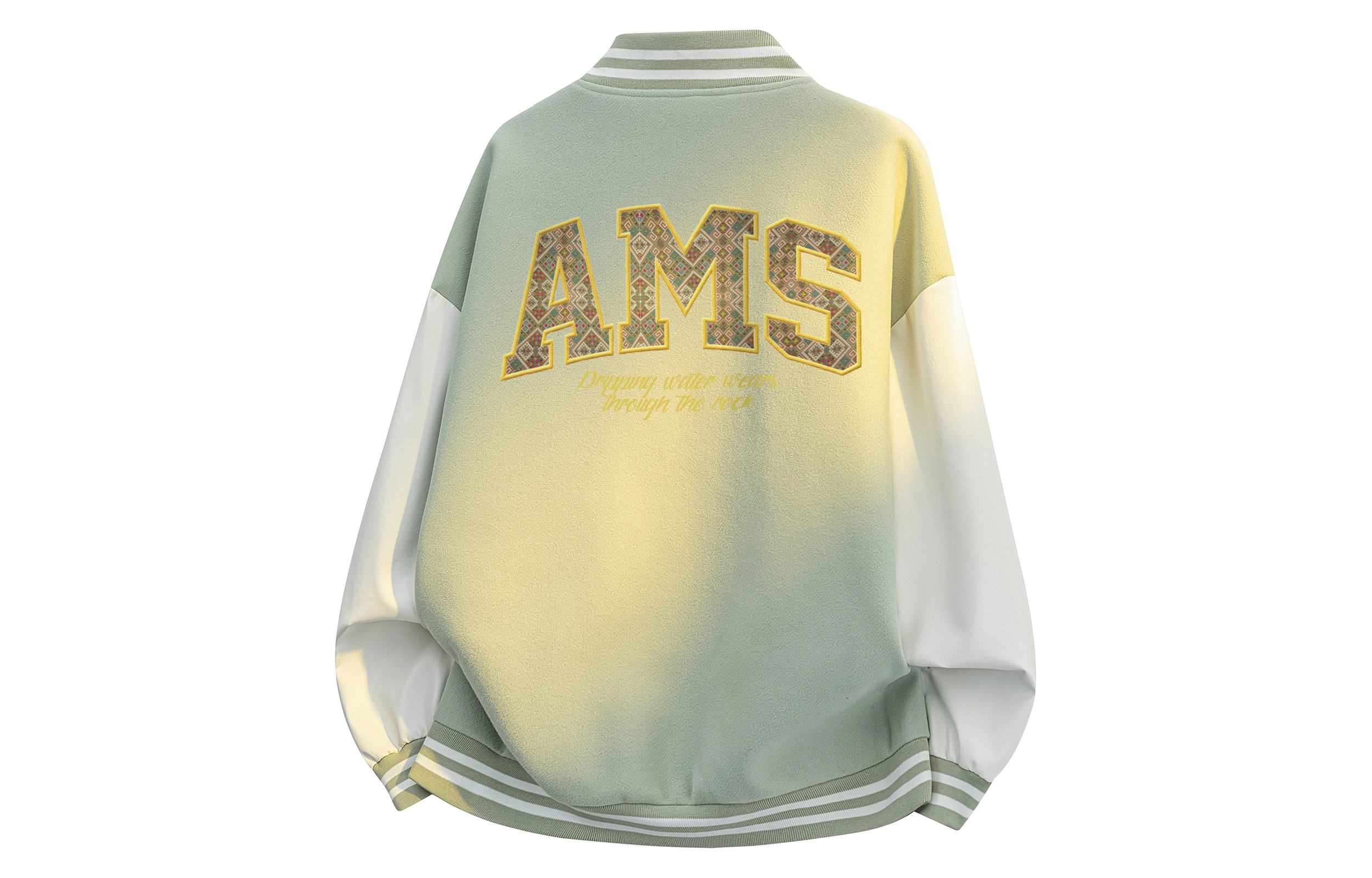AIMISS LOGO
