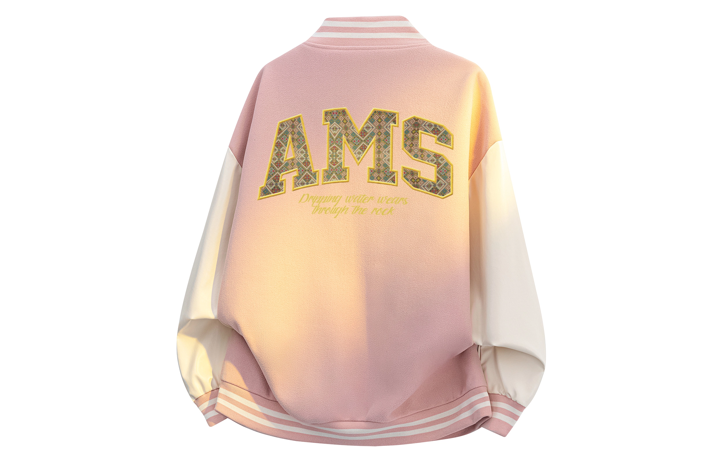 AIMISS LOGO