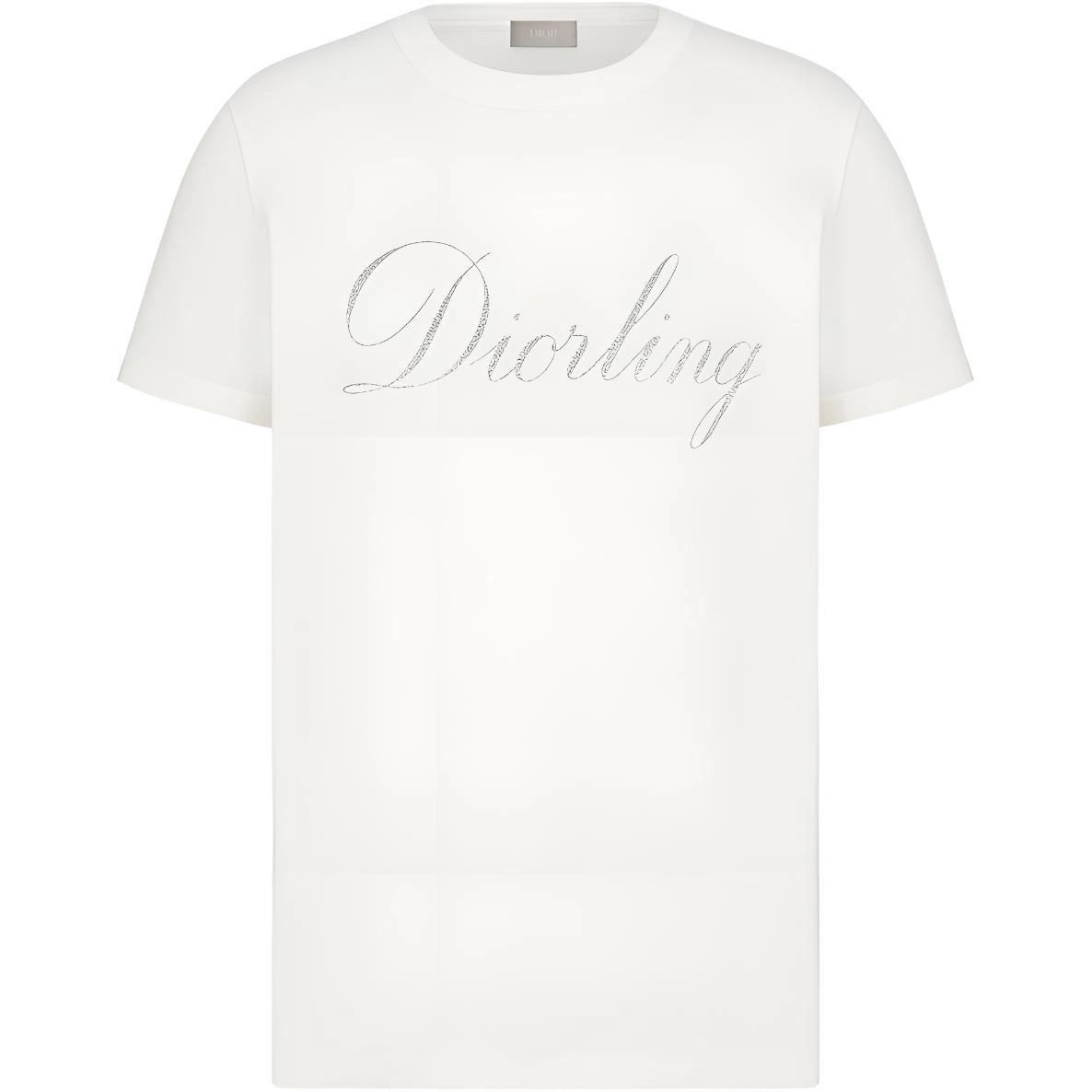 DIOR FW25 T