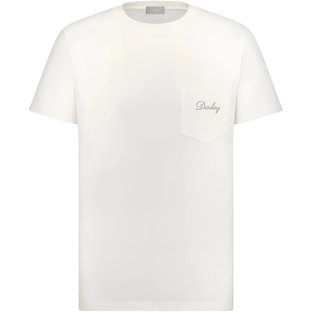 DIOR FW25 T