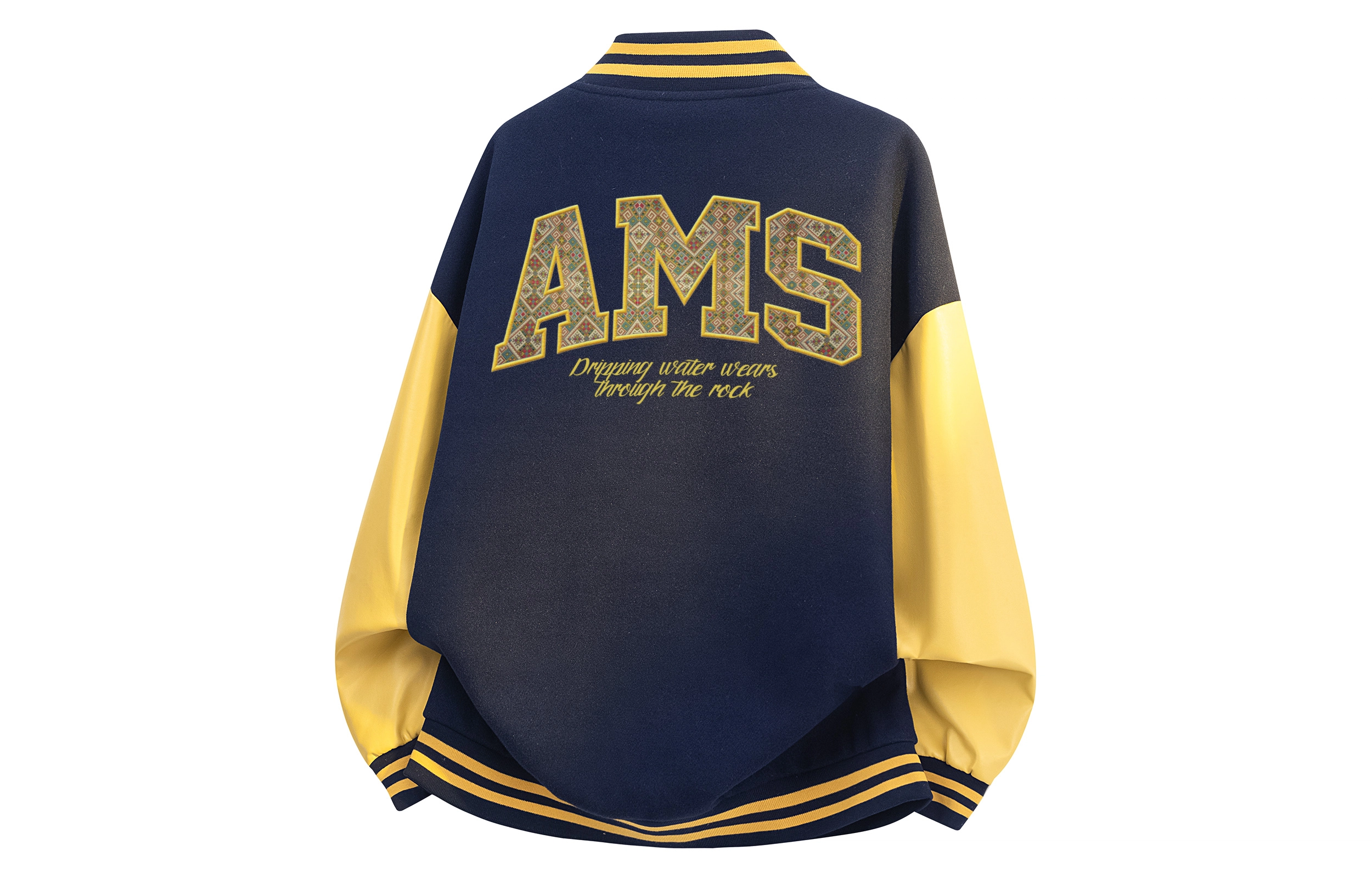 AIMISS LOGO