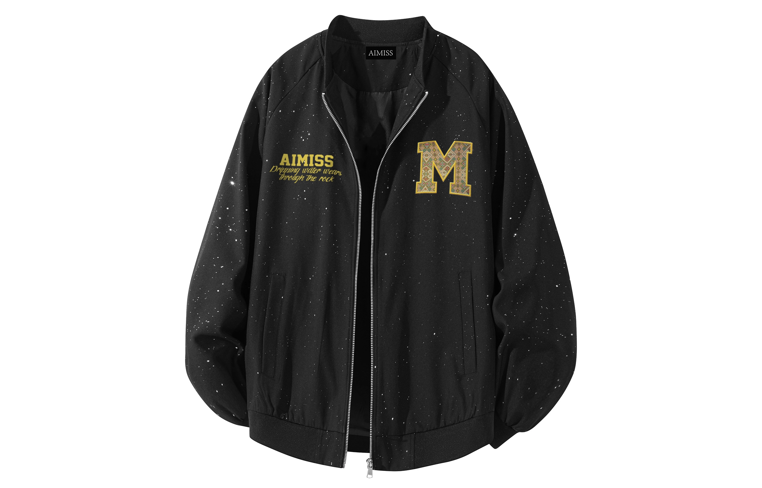 AIMISS Logo