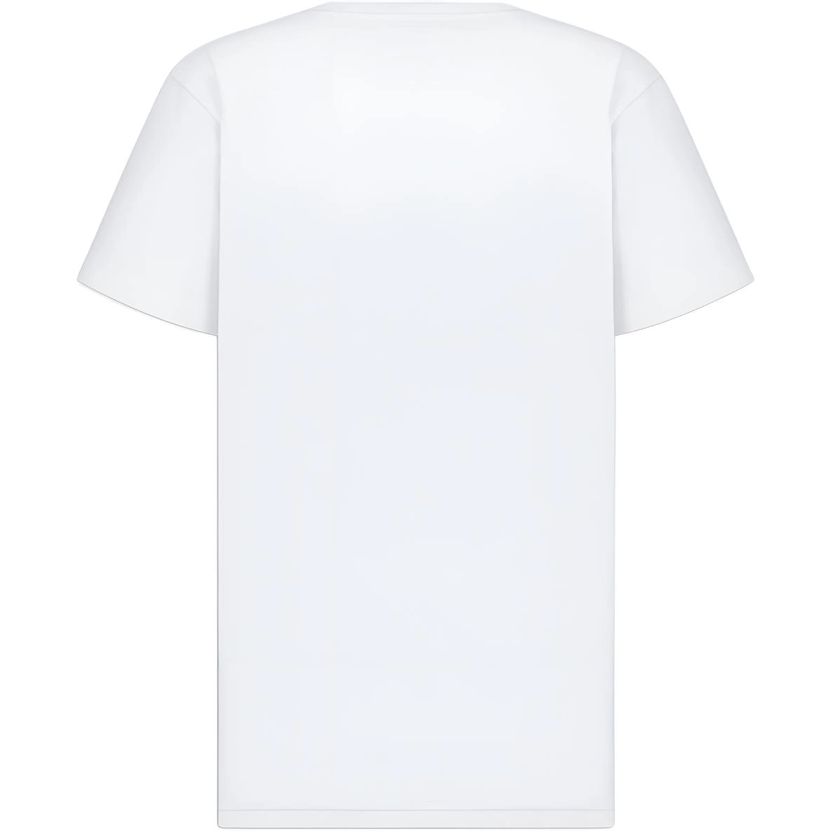 DIOR FW25 T