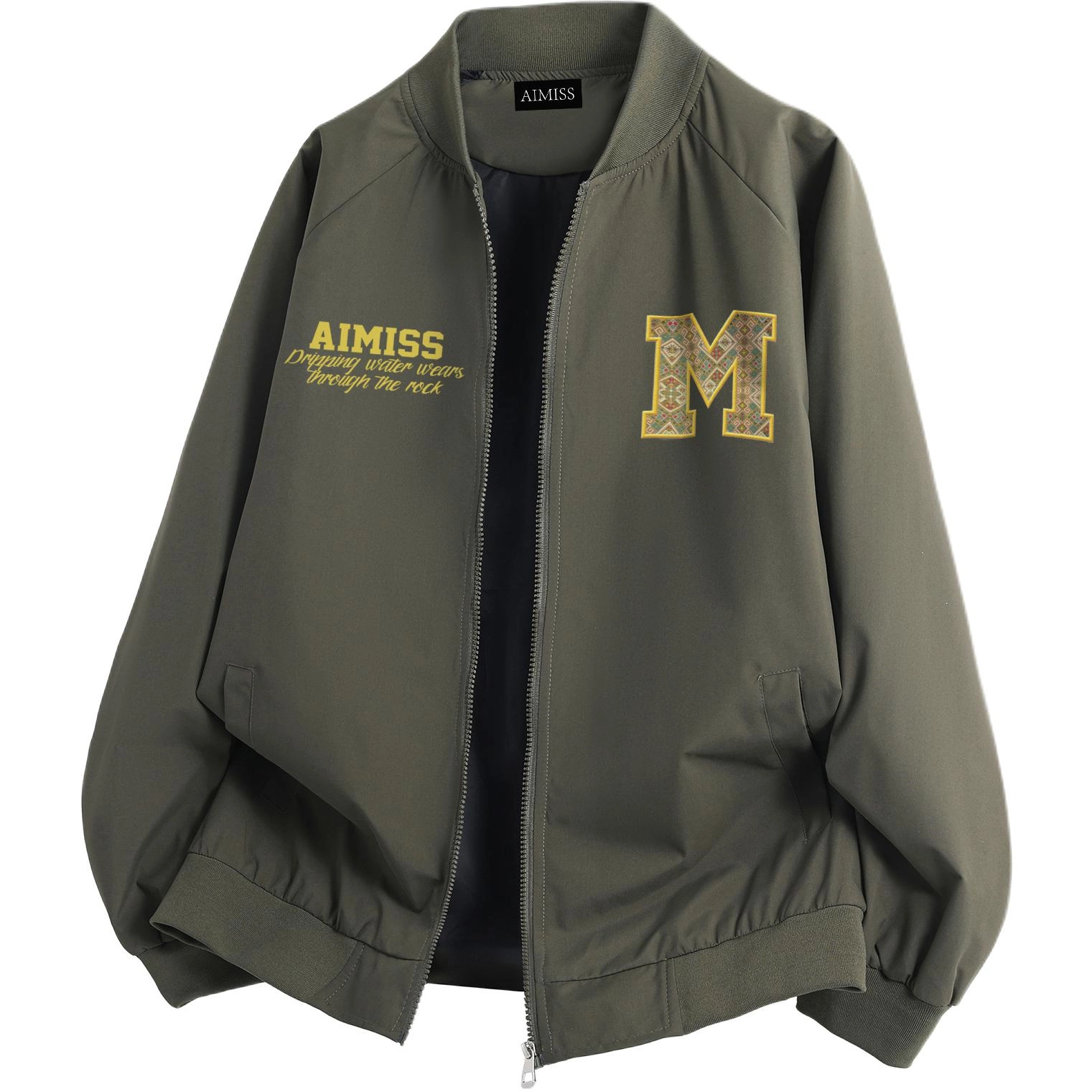 AIMISS Logo