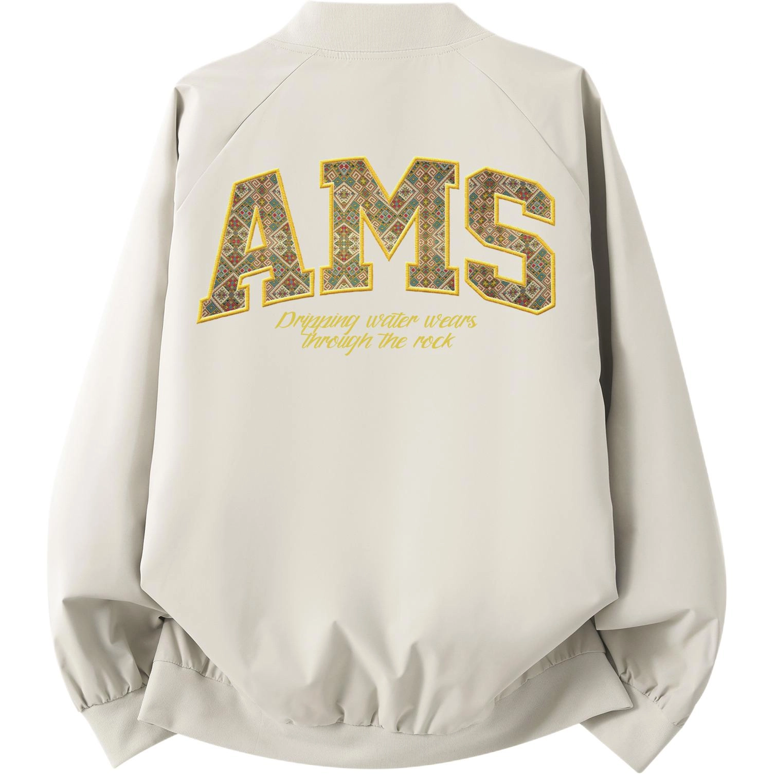 AIMISS Logo