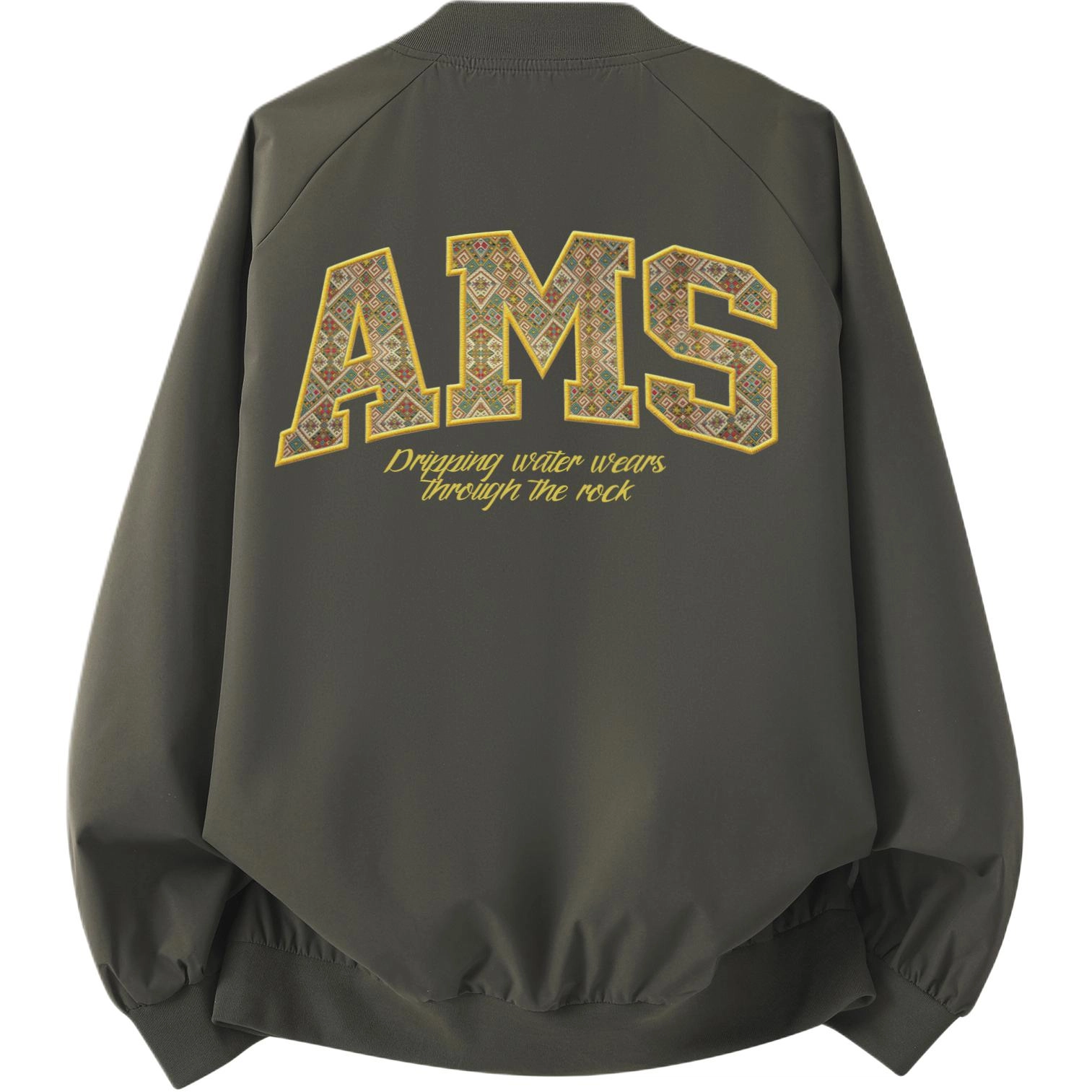 AIMISS Logo