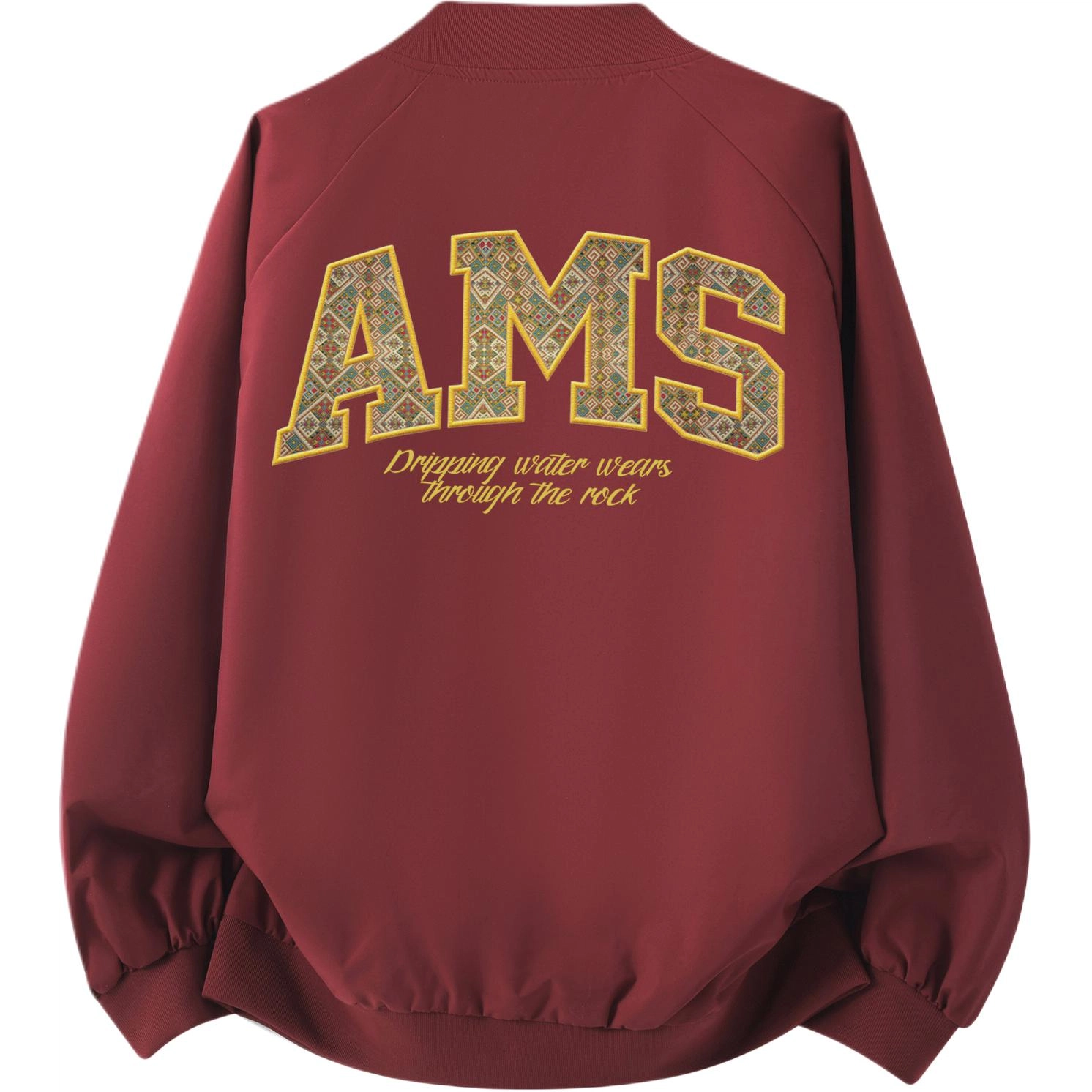 AIMISS Logo