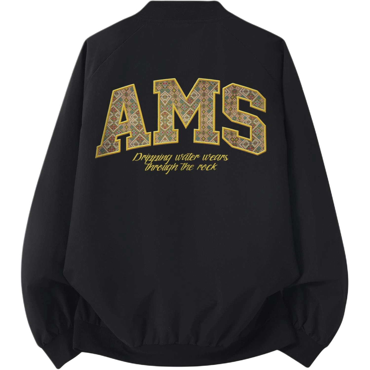 AIMISS Logo